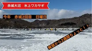 2026年 赤城大沼 氷上ワカサギ釣り （解禁2週間ちょっと）