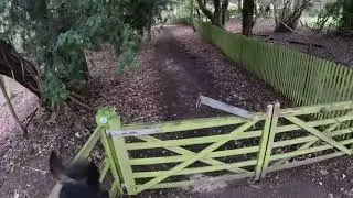 Hack in the cold British winter