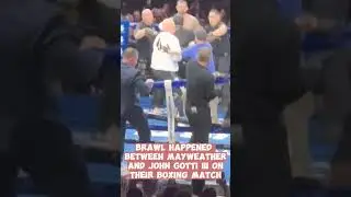 Mayweather vs John Gotti III got Brawl fight. #mayweather #johngotti #trendingshorts