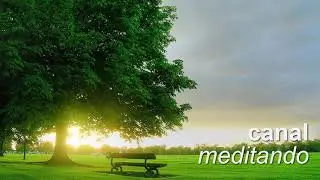 27JUL2018 Prov&eacute;rbios 13:24