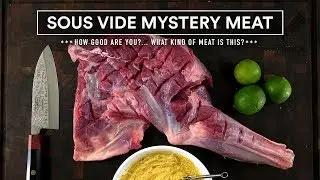 Sous Vide MYSTERY MEAT Experiment!