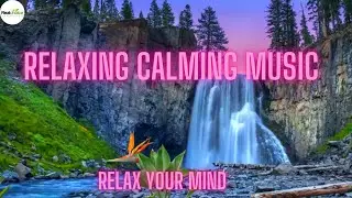 RELAXING MUSIC | CALMING MUSIC | Piano Music | RealChoice Daily Life