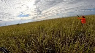 Kauai Bird Hunting Closing Weekend 2026 - The Toughest Season EVER In My Lifetime!