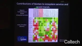 Biodiversity Science