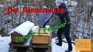 Bienenkiste im Januar/ Februar 