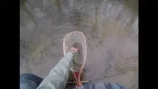 Codorus Creek Trophy Trout Section (SAME FISH IN TWO HOURS!)