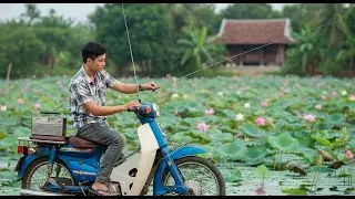 Nhạc Bolero Xưa Bolero Trữ Tình – Dễ Ngủ, Sâu Lắng – Nghe Một Lần Là Nhớ Suốt Đời