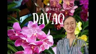 TOURISM COURSE | Davao City | Promotional Video