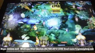 TWINS DRAGON FISH GAME( FISH GAME HUNTER GAME MACHINE)/DRAGON HUNTER