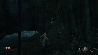 Sekiro: Shadows Die Twice - Interior Ministry Ninja