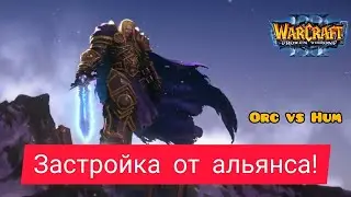Застройка от альянса‼️ HawK Hum vs OrcWorker Orc Warcraft 3 Frozen Throne