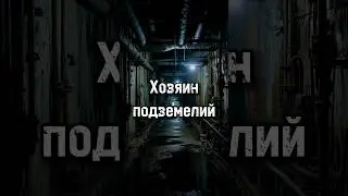 Хозяин подземелий. Моды на сталкер #doublegun #даблган #сидорович #трусталкер #аномалии #контролер