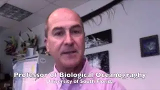 Cultivating STEM Education with NASA Educational Resources - Climate Change