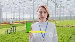 KisanRates App | Mandi Bhav Today | Sabzi Prices Live 🧅🍅 | #KisanApp #MandiRates #TazaBhav