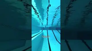 imagine living underwater 🧜&zwj;♀️🌊✨ undefined