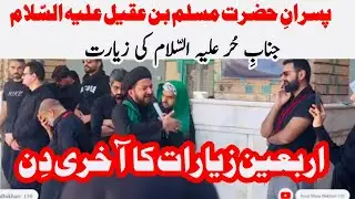 Arbaeen 2024 - Last Day Arbaeen Ziarat - Last Episode Arbaeen walk 2024