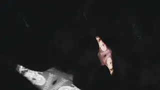 GIZZMO - A Change in the Seasons (Official Video)