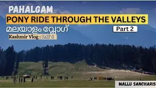 #Day4 - Part 2 - ബൈസാരൻ വാലി കാഴ്ചകൾ | Cricket Bat Factory | Kashmir Trip | Malayalam vlog |