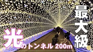【三重・桑名】なばなの里イルミが別世界すぎた…（冬旅Vlog）