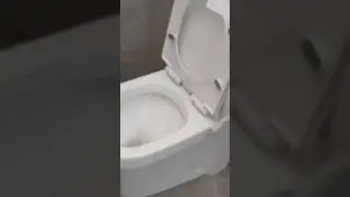 Concealed Toilet Seat Fitting