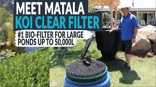 Best Biological Filter for Koi Ponds (Matala Koi Clear Filter)