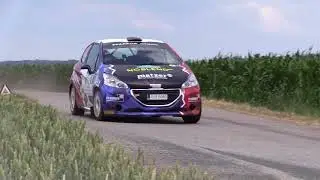 XIV. Agrotec Petronas Rally Hustopeče 2018 | 42 | Julian Wagner - Anne Katharina Stein