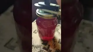 GRAPE JUICE &mdash; Fresh Homemade Drink Ready in 15 Minutes