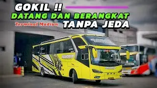MENJELANG SORE BUS MASUK DAN KELUAR TANPA JEDA‼️TERMINAL MADIUN