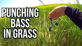 PUNCHING for Bass in Nebraska?!?!