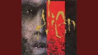 I've Been Waiting (US Mix)