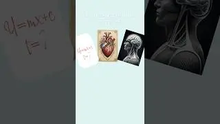 TechWell Knowledge -Discover The Top Study Techniques Used By 4.4m People On Ted-ed!