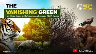 THE VANISHING GREEN | How Climate Change and Deforestation Are Destroying Wildlife Habitats. 🌍🌳🌴