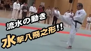 流水の動き！水撃八飛之形！【日本拳法協会】令和7年度 面空乱撃競技交流大会にて演武