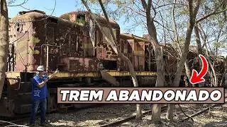 CEMITÉRIO DE TREM: VAGÕES ABANDONADOS VÃO PARAR NO LEILÃO *locomotivas*