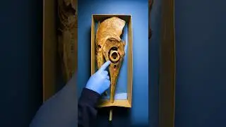 Giant Fish Eye Bones #shorts