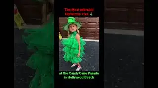 Lua was an adorable Christmas Tree for the Candy Cane Parade in Hollywood Florida last night