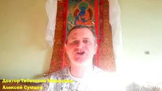 Видео очерк №7 05 20 Сексуальное поведение с точки зрения ТМ.