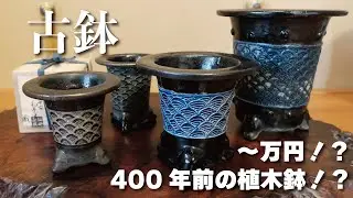 古鉢の紹介〜青海波編〜 #400年前の植木鉢