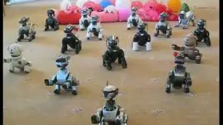Aibo Meet UK