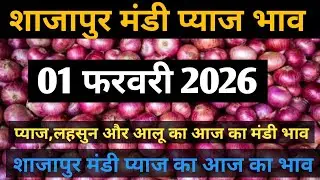 Shajapur Mandi pyaj ka bhav |#potato #shajapurmandibhav#shajapurmandi#garlic #onion#agriculture#pyaj