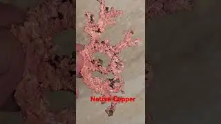 Native Copper the tree form