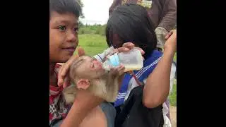 Yummy Milk Baby Monkey With The Kind Kid #monkey #adorablebaby #love #monkeylove #cute