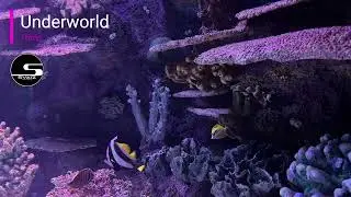 Toms   Underworld (Original Mix)