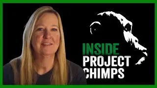 INSIDE PROJECT CHIMPS: Kris, Behavior Coordinator