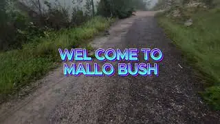 MALLO MANCHESTER MANDEVILLE