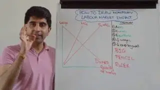 Monopsony Labour Market