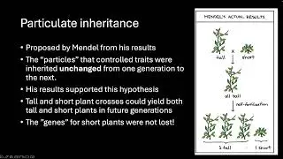 Mendelian inheritance Part 1