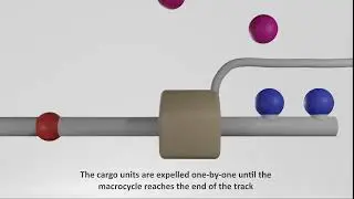 New molecular device unlocks potential for targeted drug delivery and self-healing materials