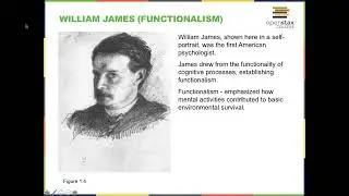 Structuralism vs Functionalism