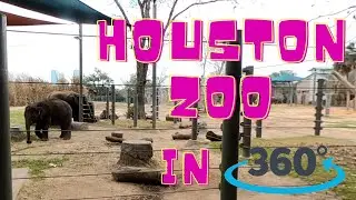Houston Zoo | 2021 in 360 Tour with GoPro MAX